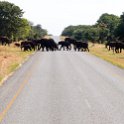 BWA NW RoadA33 2016DEC04 003 : 2016, 2016 - African Adventures, A33, Africa, Botswana, Date, December, Month, Northwest, Places, Southern, Trips, Year